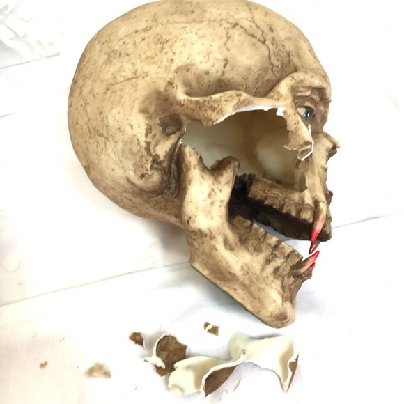 Vampire Skull Halloween Decor broken cheekbone  NOS NWT - Picture 3 of 7
